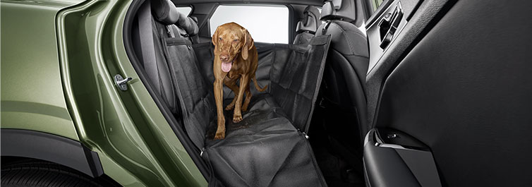 Pet Seat Cover