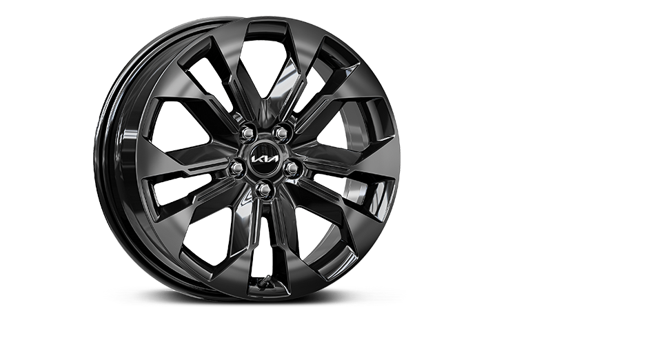 19-inch 235/55R19 alloy wheel (B-type)