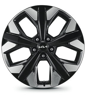 19-inch alloy wheel <br>(for X-Line only)