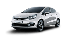 더 뉴 프라이드