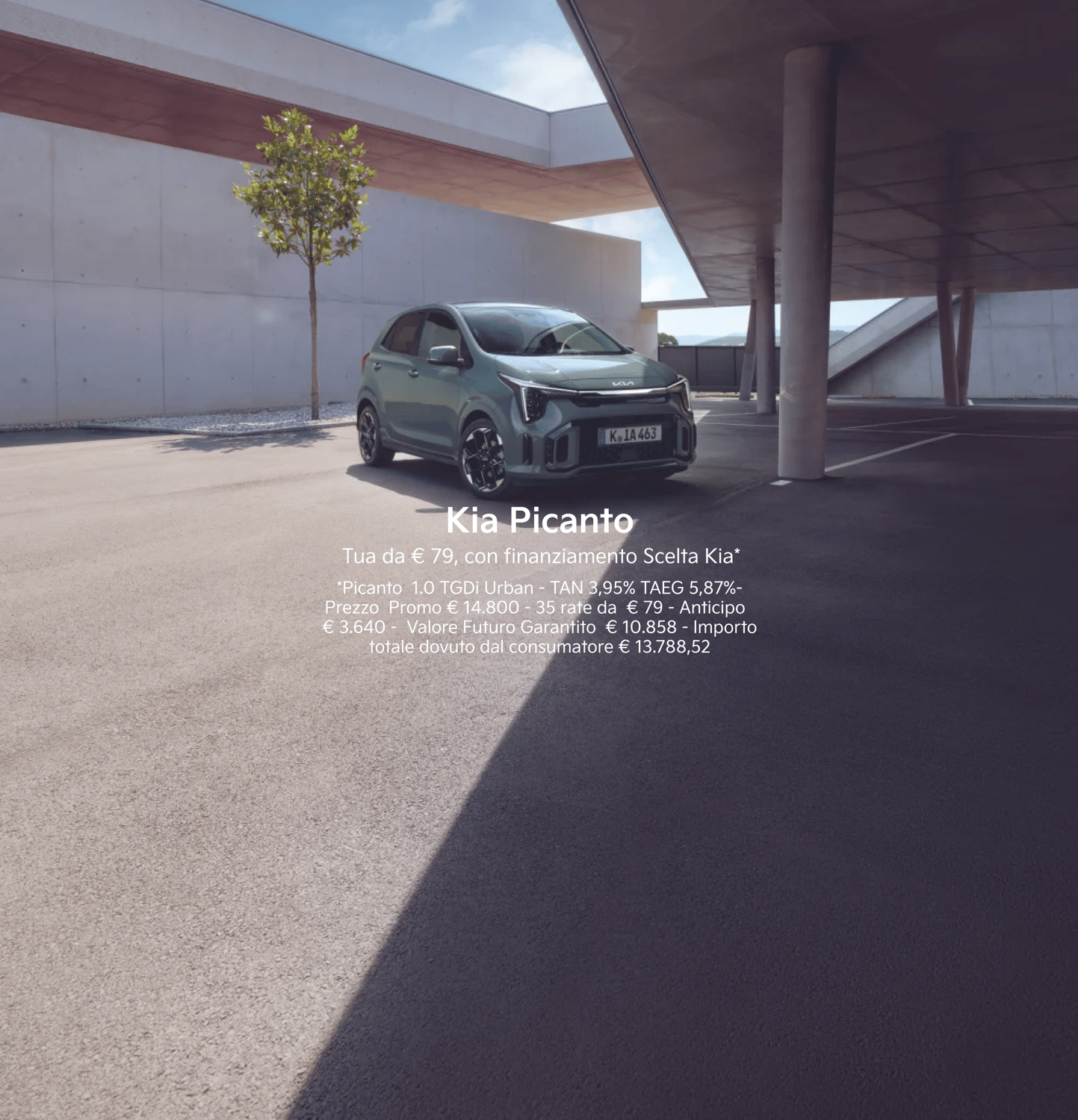 picanto
