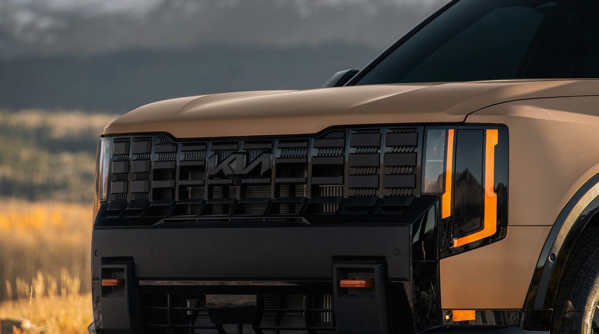 Two front recovery hooks and front grille with matte black insert and gloss black surround shown on the X-Pro SX Prestige.8