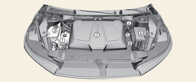* The actual motor compartment in the vehicle may differ from the ...