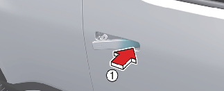 Touch the touch sensor on the driver side outside door handle (the ...