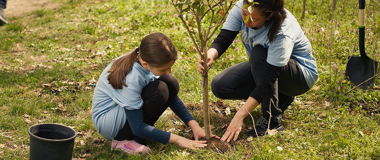 Become a Kia Partner