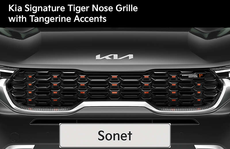  Kia Signature Tiger Nose Grille 