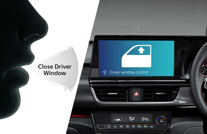 Driver Window Control