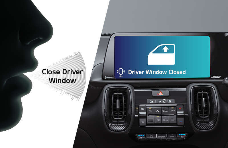 Driver Window Control