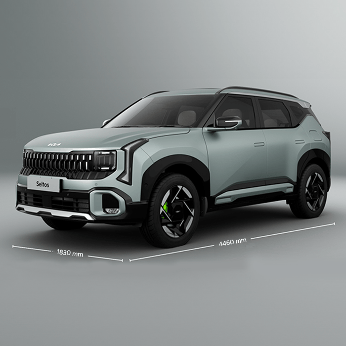 Dual Pane Panoramic Sunroof