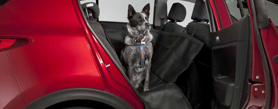 Rear Pet Seat Cover