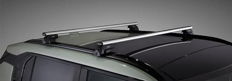 Flush Roof Racks