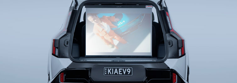 EV9 Portable Projector Screen