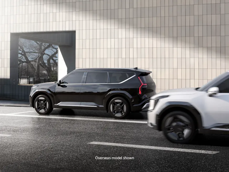 Safe Exit Warning & Safe Exit Assist*