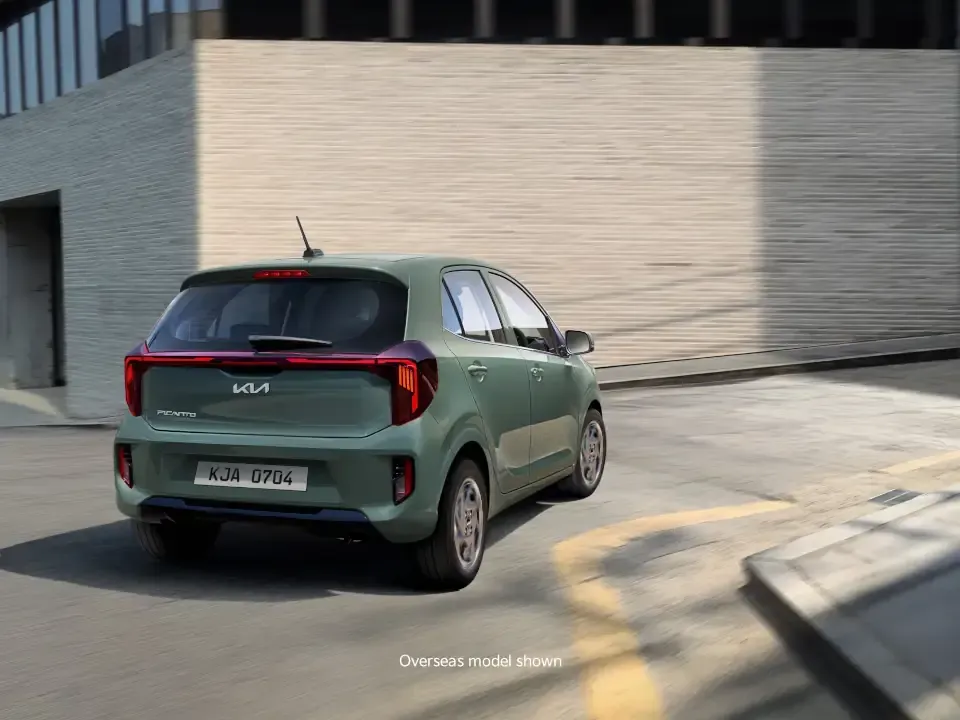 Autonomous Emergency Braking (AEB)*