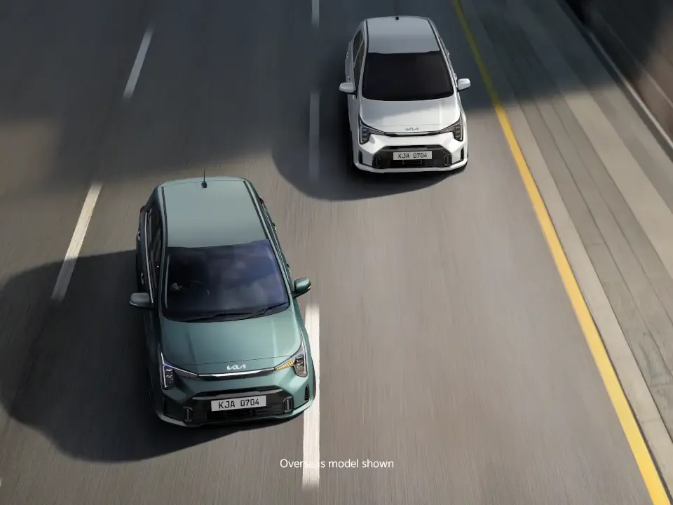 Blind-spot Collision Avoidance Assist*