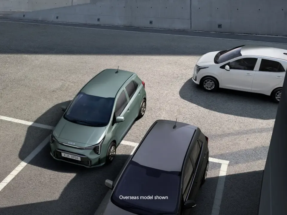 Rear Cross-traffic Collision Avoidance Assist*