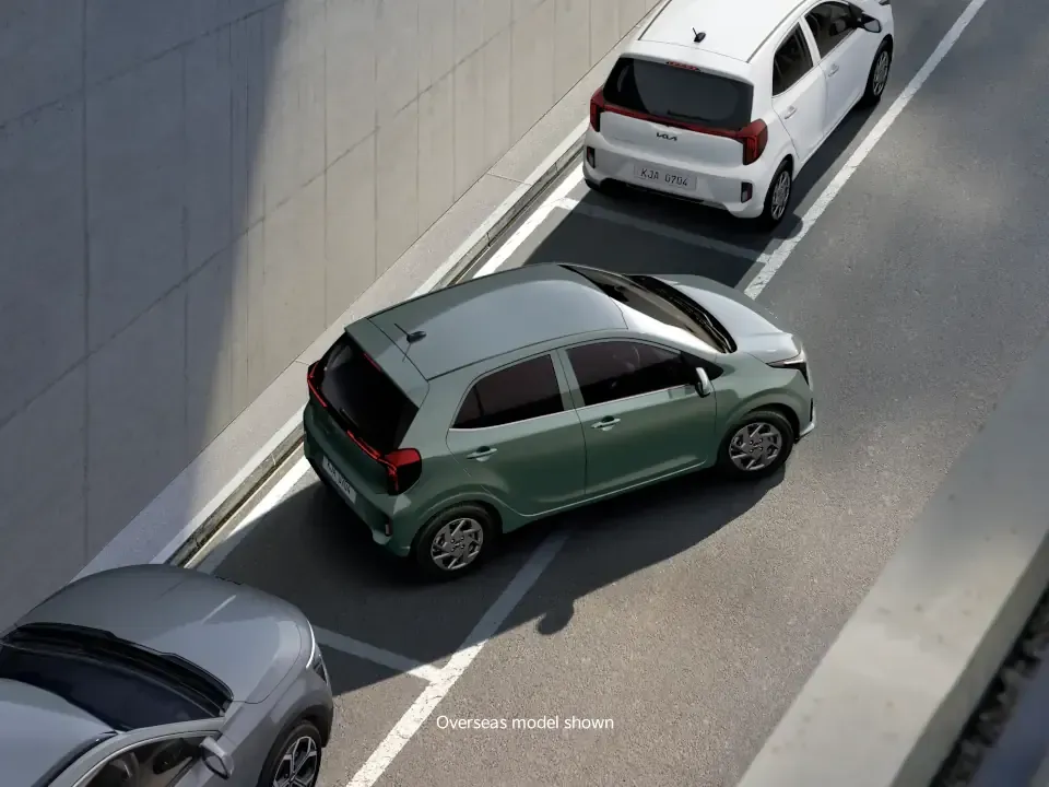 Reverse parking sensors*