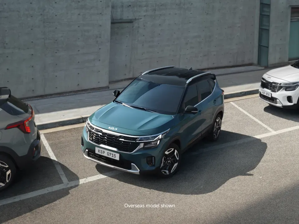 Front and rear parking sensors*