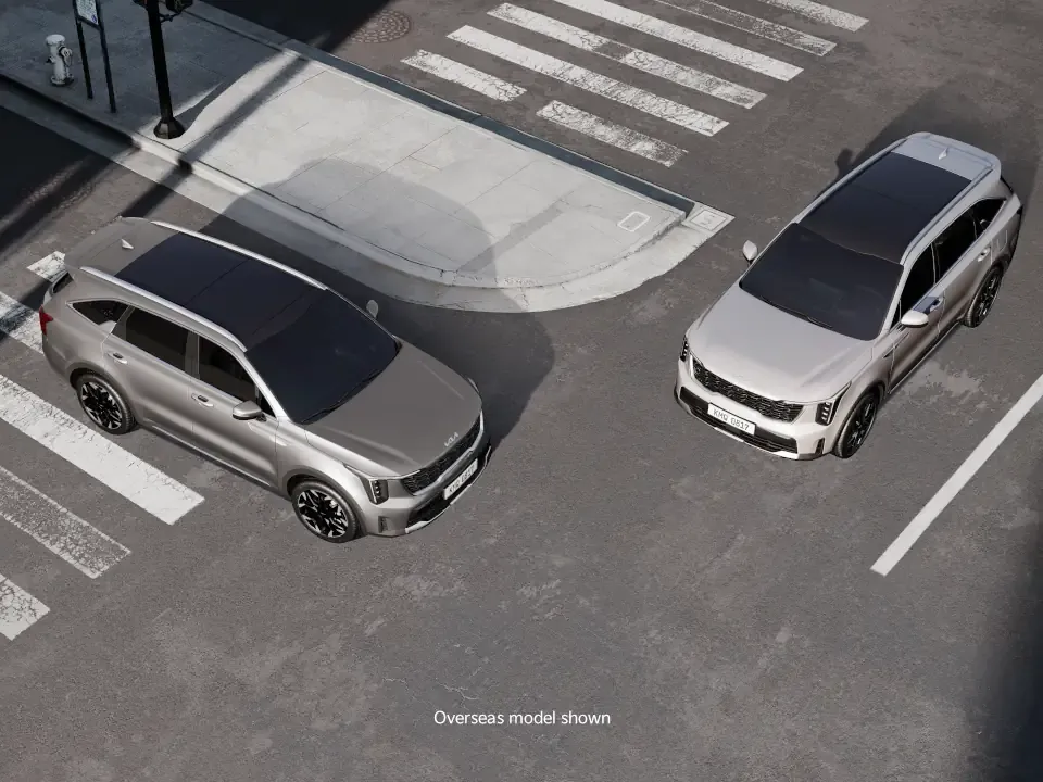 AEB (Autonomous Emergency Brake) with FCWS (Forward Collision Warning System)*