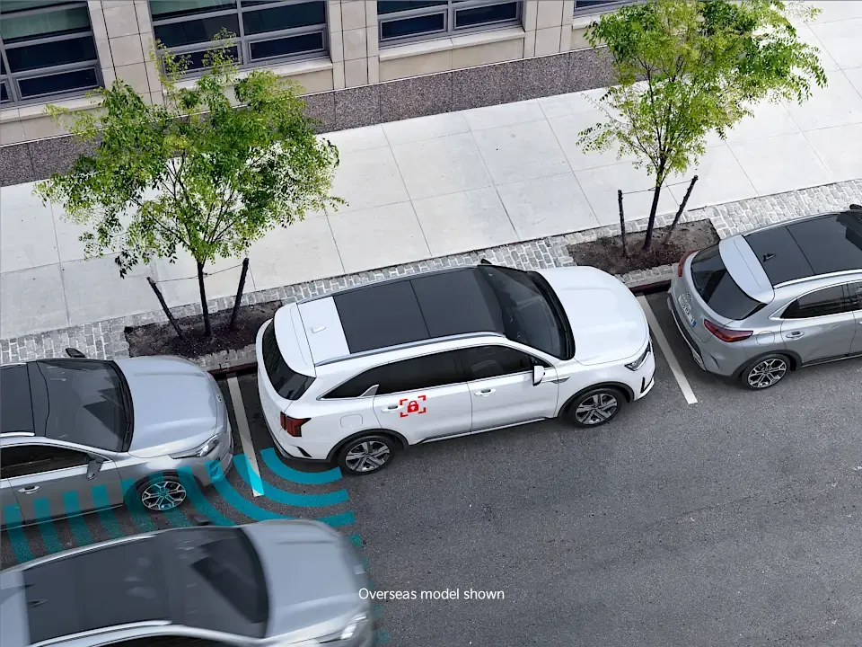 Safe Exit Warning & Assist (SEW)*