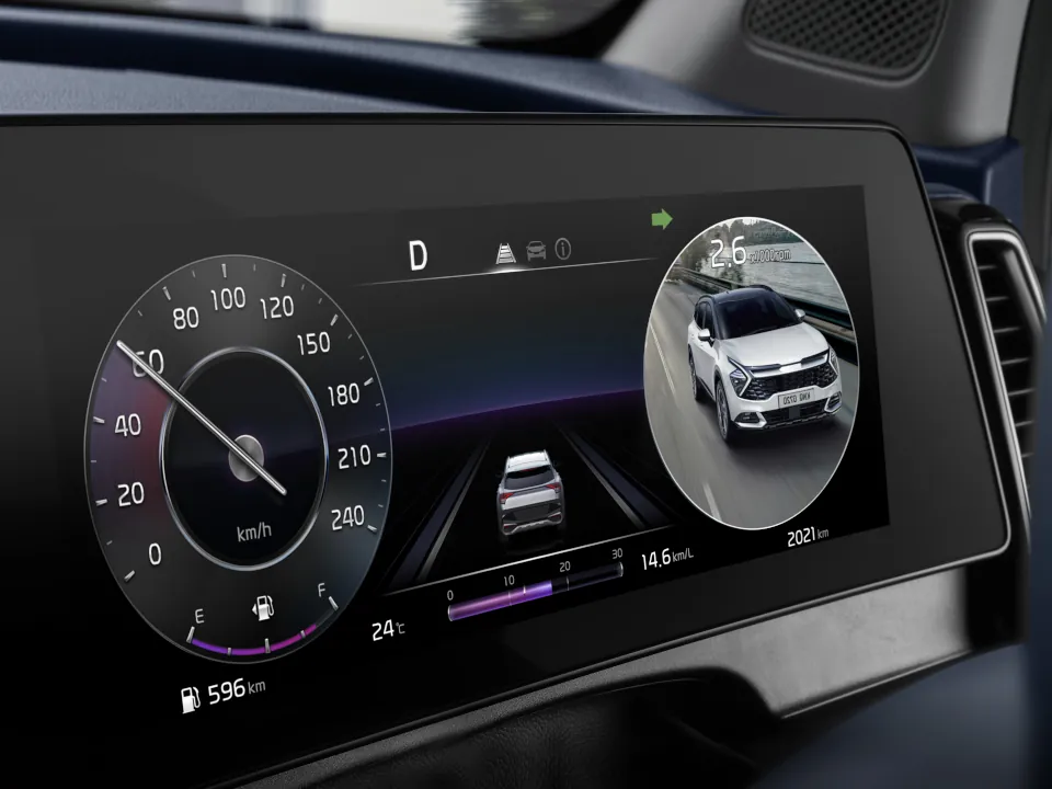 Blind Spot View Monitor*