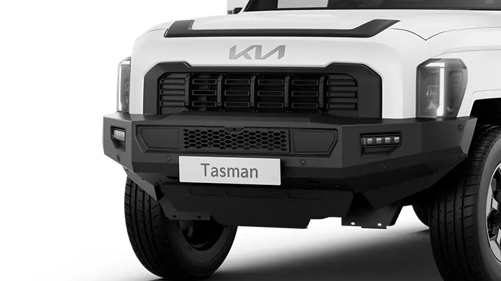 Bull Bar - Bumper Replacement SX S