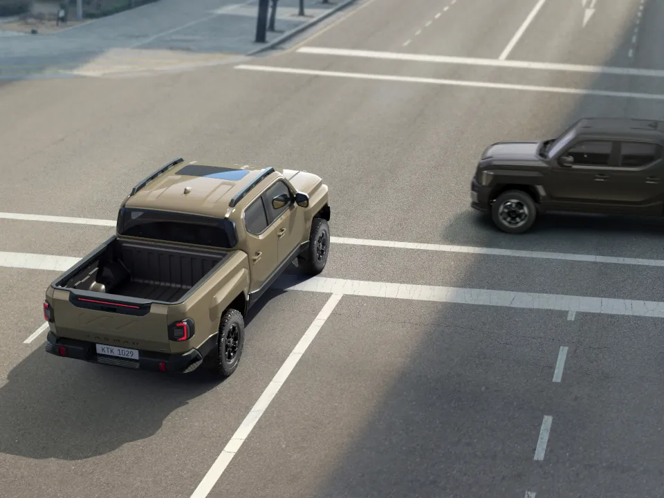 Autonomous Emergency Braking (AEB)*