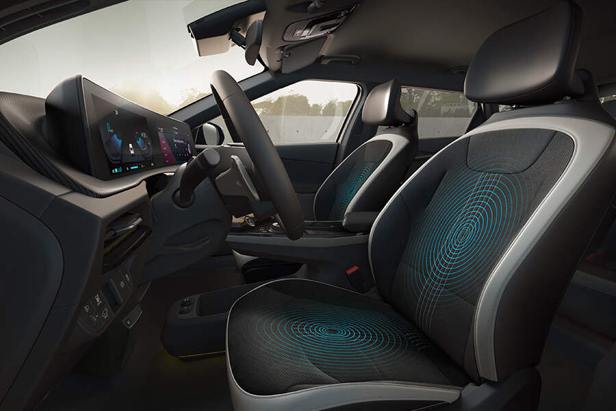 Temperature-controllable seats*