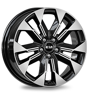 235/55R  Alloy Wheel</br>19&quot; (Only available in Platinum)