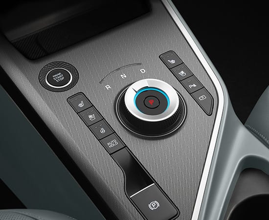 Niro interior
