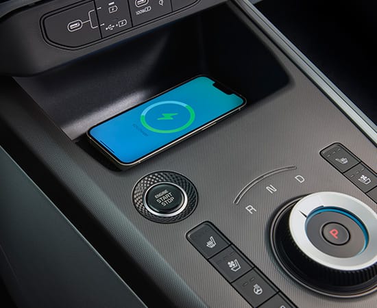 Niro interior