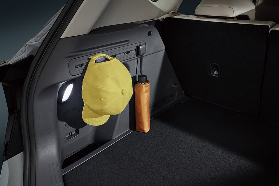 Cargo space luggage hooks & storage bins