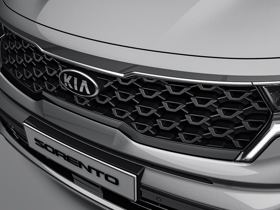 Radiator grill (Black paint)