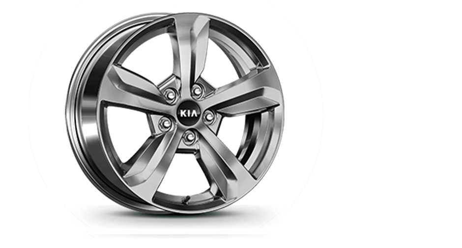 235/65R 17-inch alloy wheel