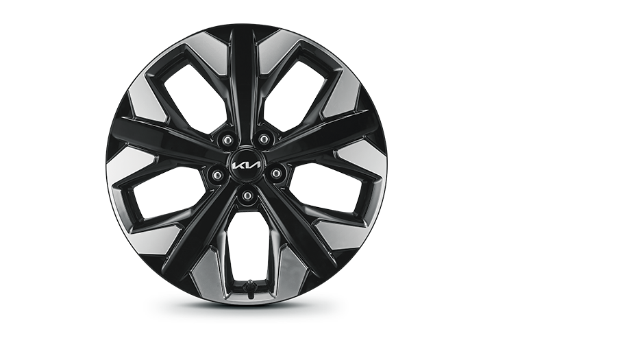 19-inch alloy wheel (for X-Line only)