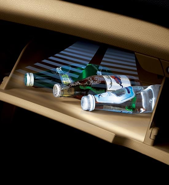 Sunglass storage with dual map lamps Sunglass storage with dual map lamps