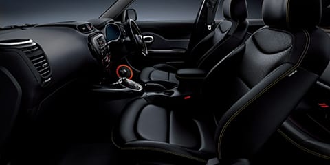 Black One Tone (Ebony Black)