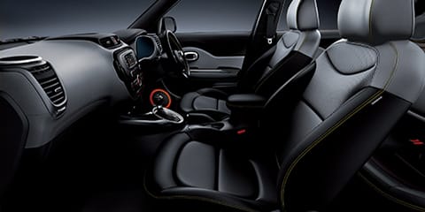 Grey Two Tone (Lime Gray Ebony Black)