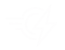 Vehicle to Load (V2L)