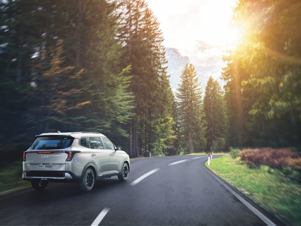 Lane Keeping Assist & Lane Following Assist