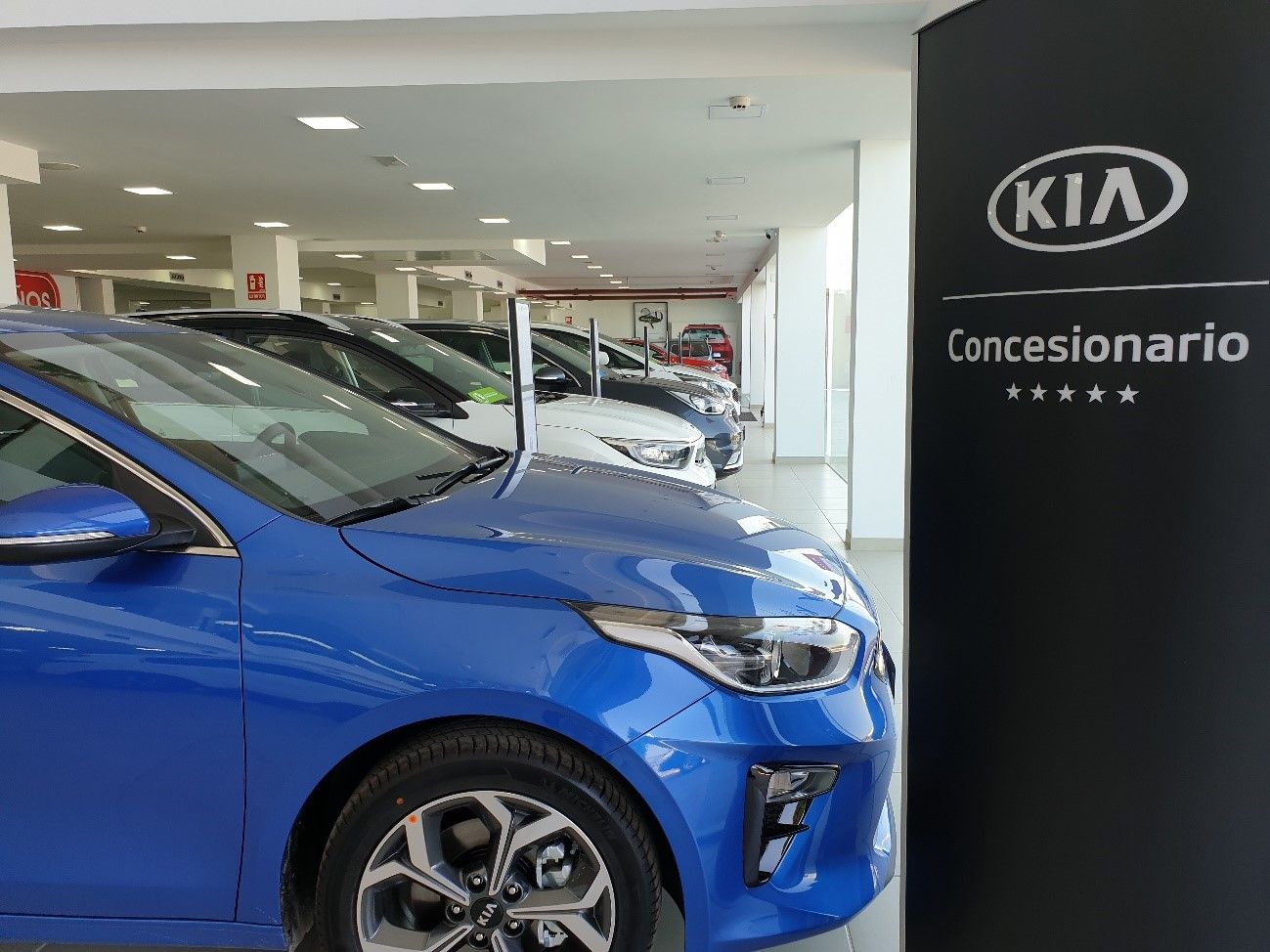 Talleres M. Gallego logra la distinción ‘Concesionario 5 Estrellas' de KIA