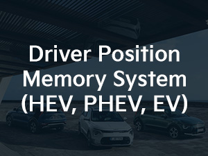 Kia Niro Driver Position Memory System