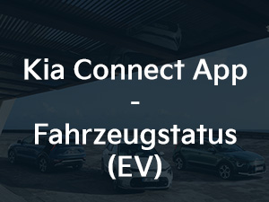 Kia Niro - Kia Connect Fahrzeugstatus