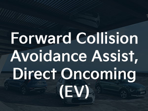 Kia Niro Forward Collision Avoidance Assist