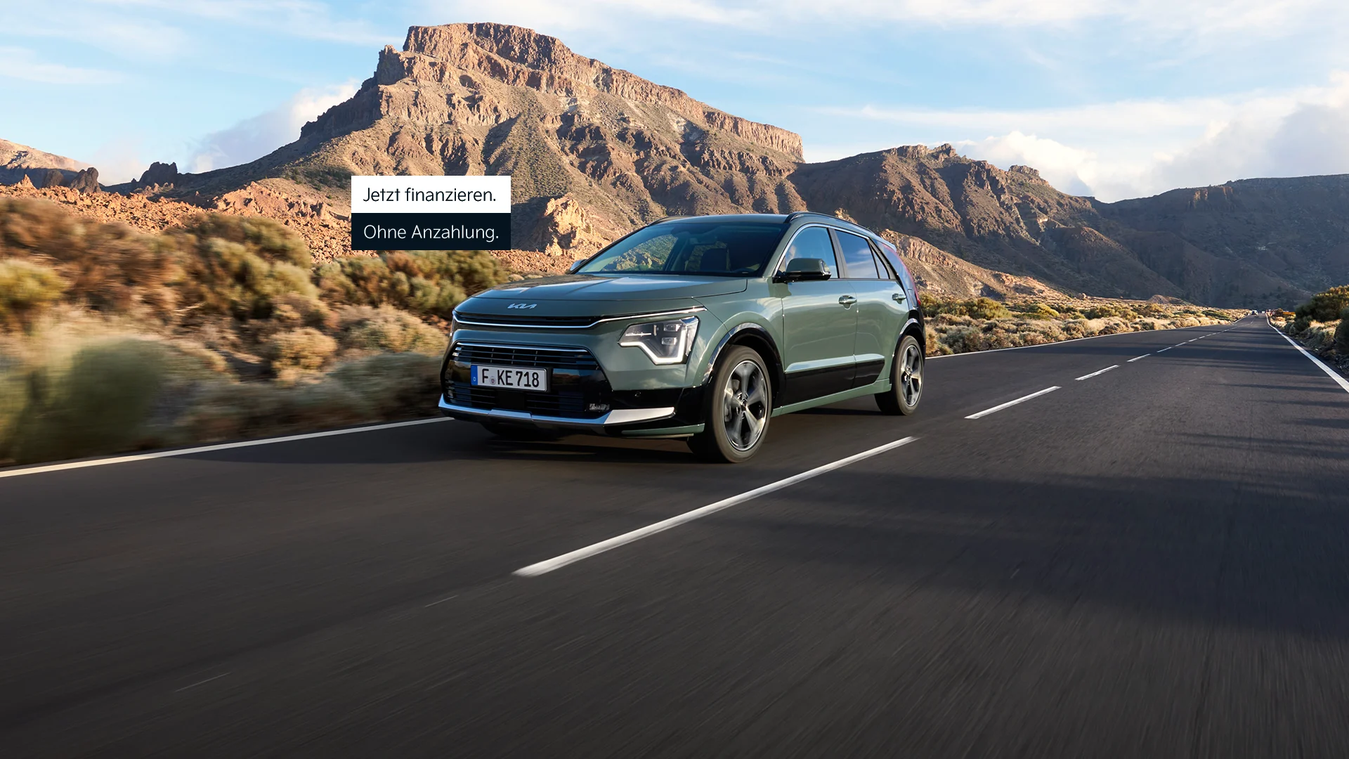 Die Kia Niro Familie