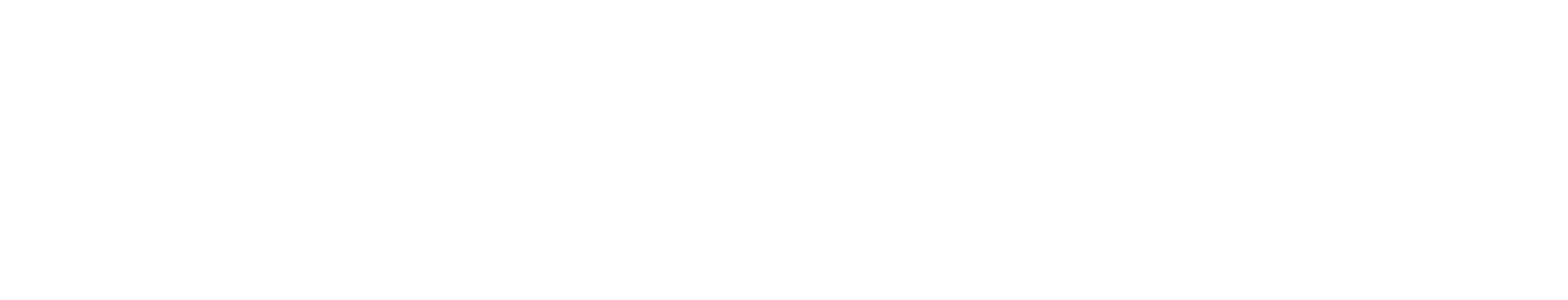 Turun Auto-Center Oy, Raisio
