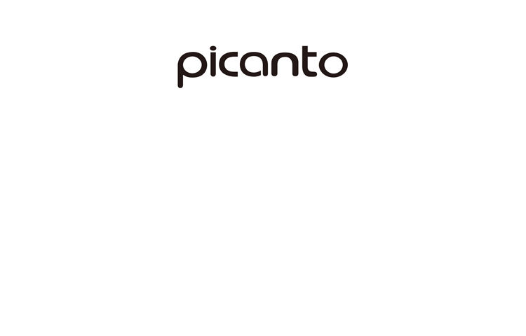 Picanto Active