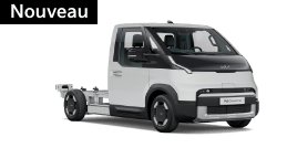 PV5 Chassis-Cab