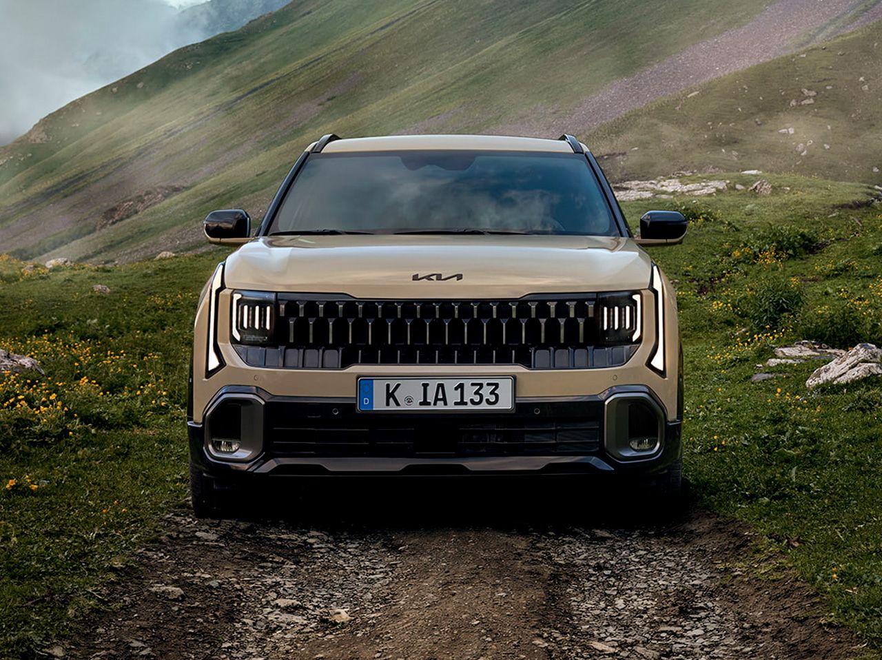 Une présence de SUV robuste.