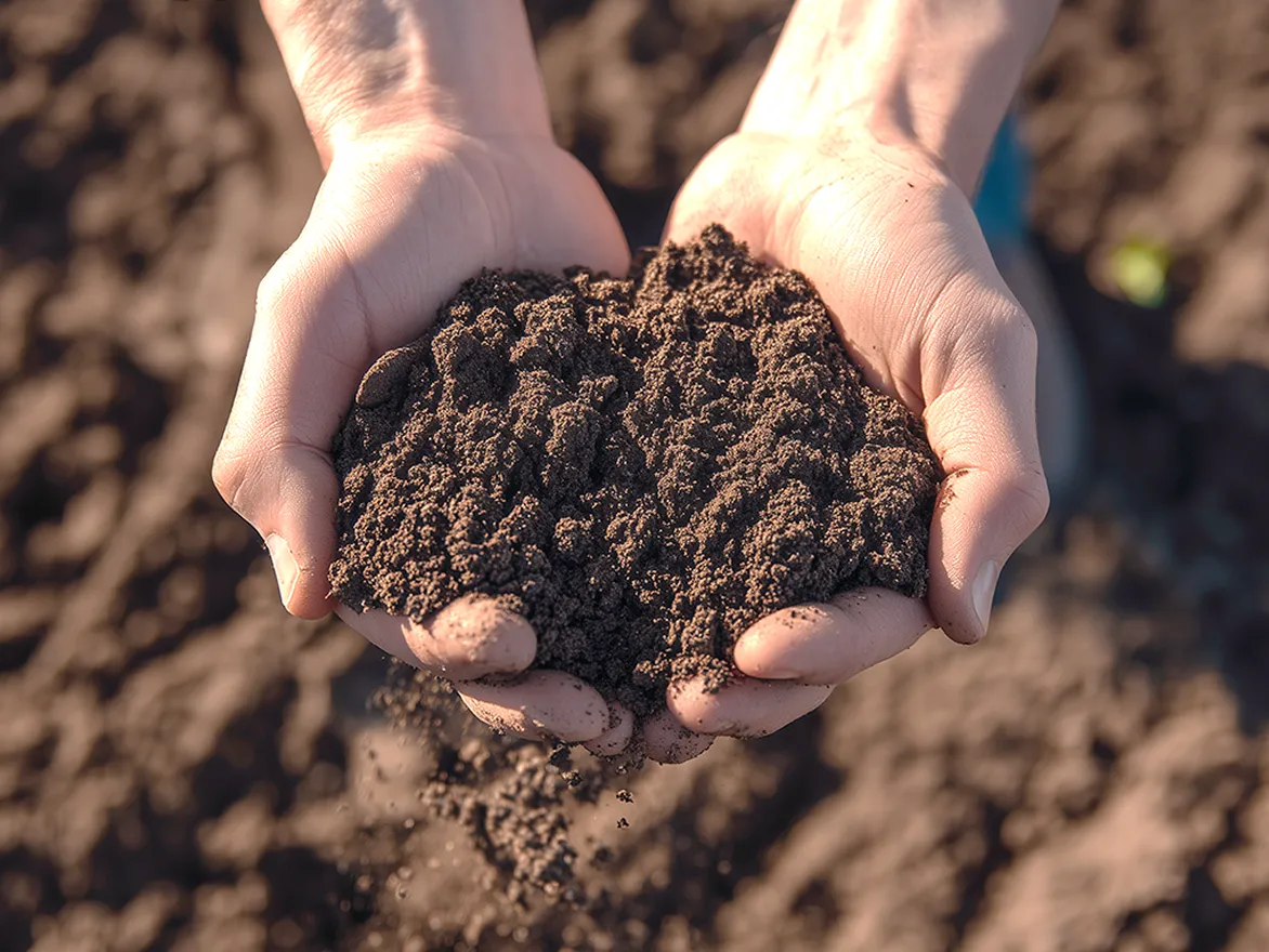 Close-up of hands holding soil